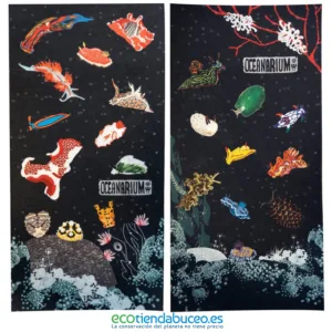 Diseño de bandana pelo con nudibranquios