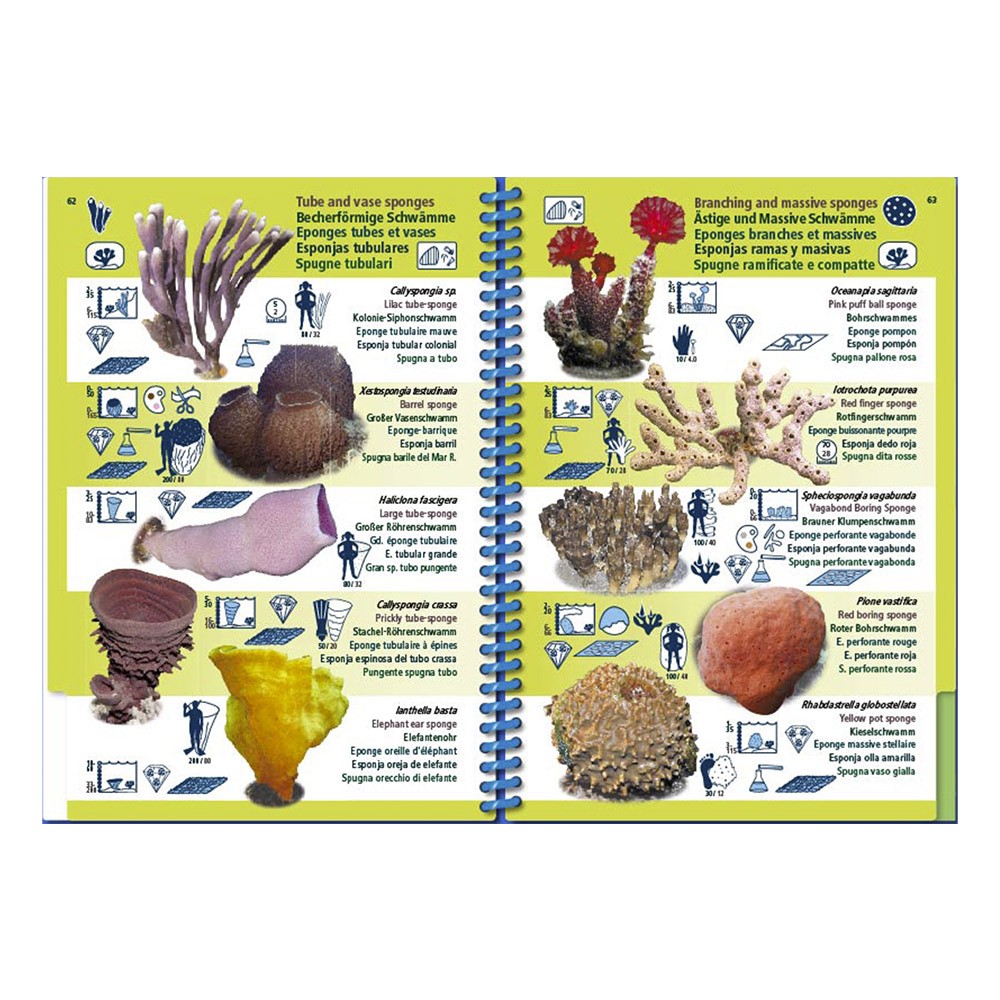 Marine PICTOLIFE Pacífico Occidental Tropical