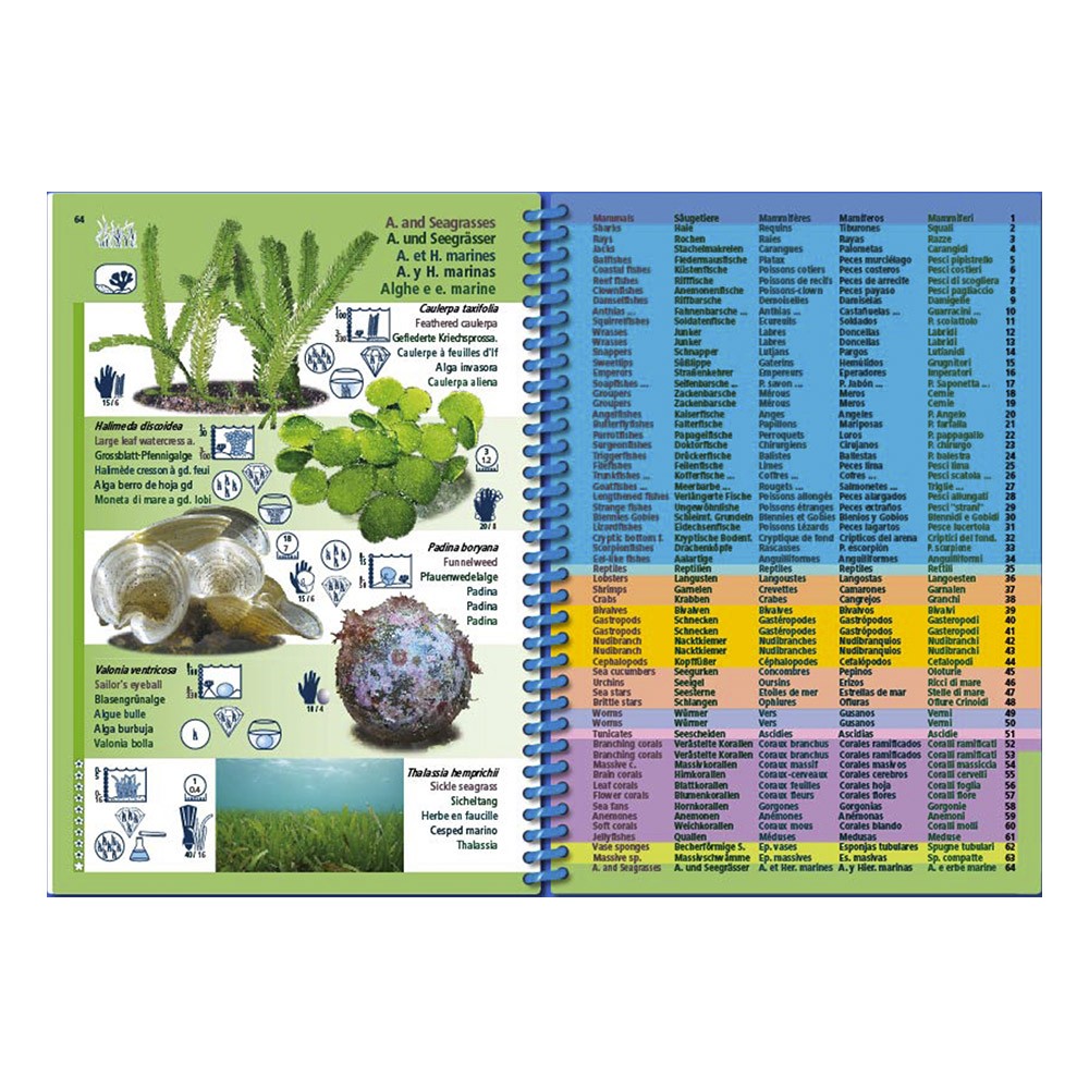 Marine PICTOLIFE Pacífico Occidental Tropical