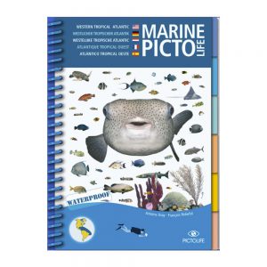 Marine PICTOLIFE Atlántico Tropical Oeste