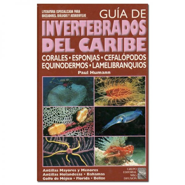 Guía de invertebrados del Caribe