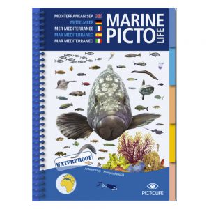 Marine Pictolife Mediterraneo