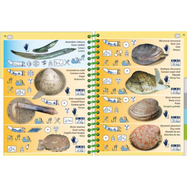 Marine PICTOLIFE Marea baja - Low Tide