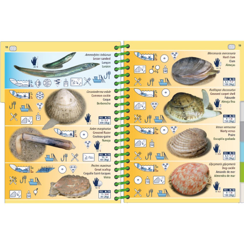 Marine PICTOLIFE Marea baja - Low Tide