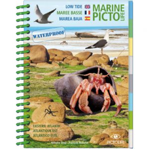 Marine PICTOLIFE Marea baja - Low Tide