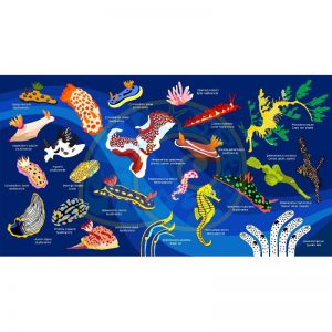 Toalla Nudibranquios azul oscuro - Grande 80x140 - ecotiendabuceo Oceanarium