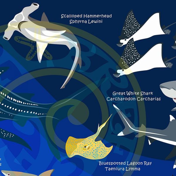 Toalla Tiburones y Rayas azul oscuro - Grande 80x140 - ecotiendabuceo Oceanarium