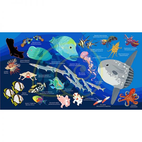 Toalla Pez Luna y arrecife azul oscuro - Grande 80x140 - ecotiendabuceo Oceanarium