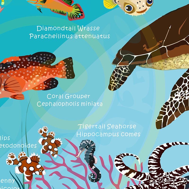 Toalla Tortuga y peces de arrecife - Grande 80x140 - ecotiendabuceo Oceanarium