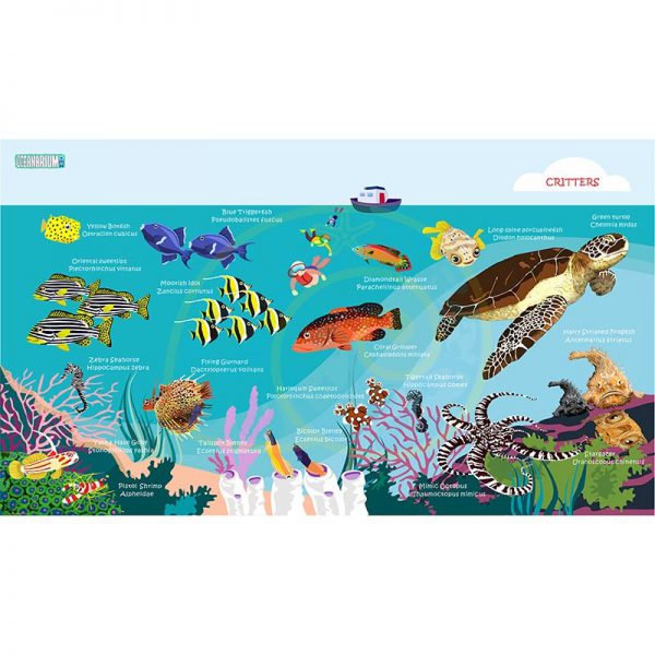 Toalla Tortuga y peces de arrecife - Grande 80x140 - ecotiendabuceo Oceanarium