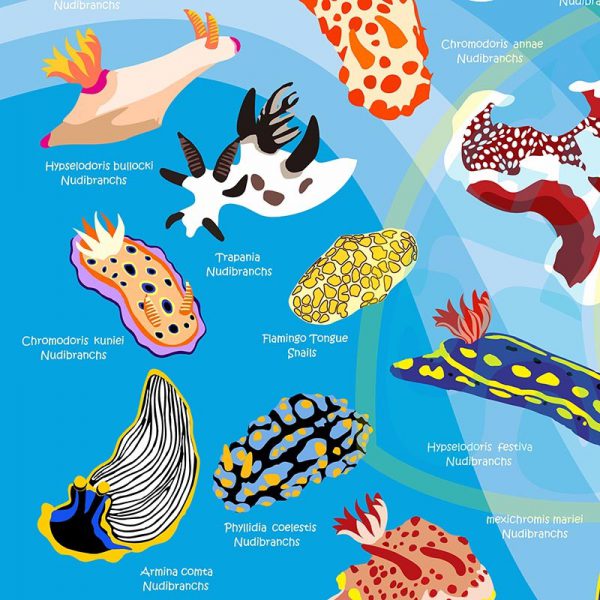 Toalla Nudibranquios azul claro - Grande 80x140 - ecotiendabuceo Oceanarium