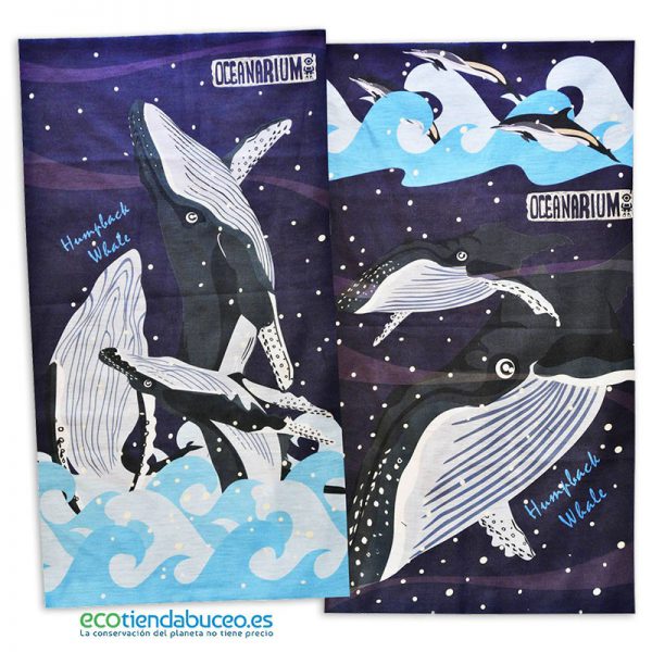 Bandana Ballenas Jorobadas - ecotiendabuceo Oceanarium