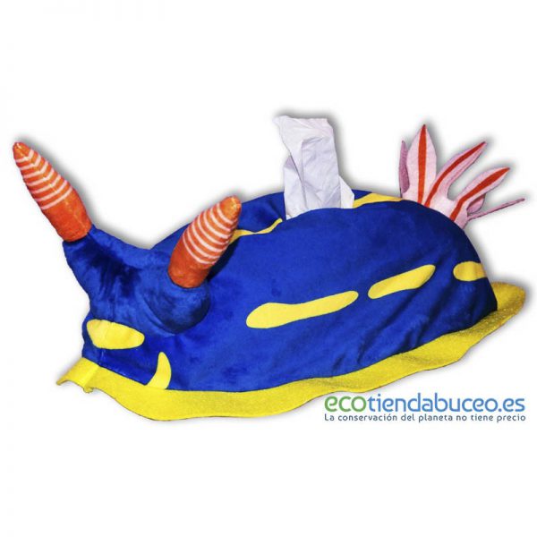 Hypselodoris Festiva - Nudibranquio porta pañuelos tissue box ecotiendabuceo oceanarium