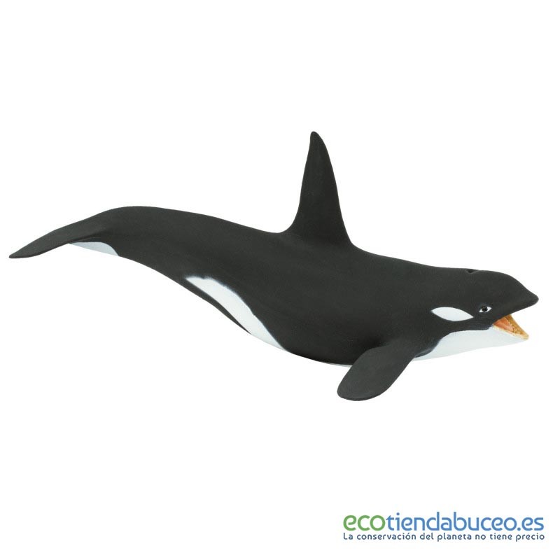 Teórico hoja parásito Orca de juguete, el animal marino favorito para niños. Aprendizaje  Montessori.
