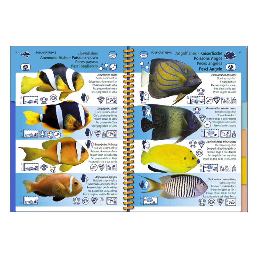 Marine PICTOLIFE Mar Rojo y Océano Indico