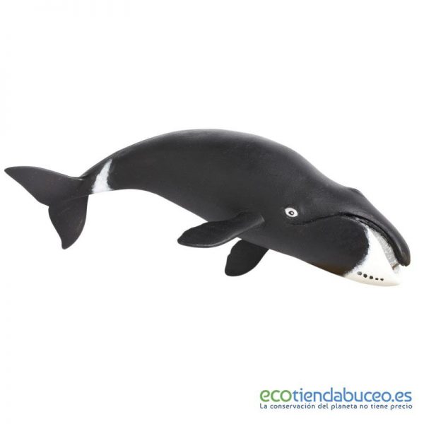 Ballena de Groenlandia de juguete - Safari Ltd.