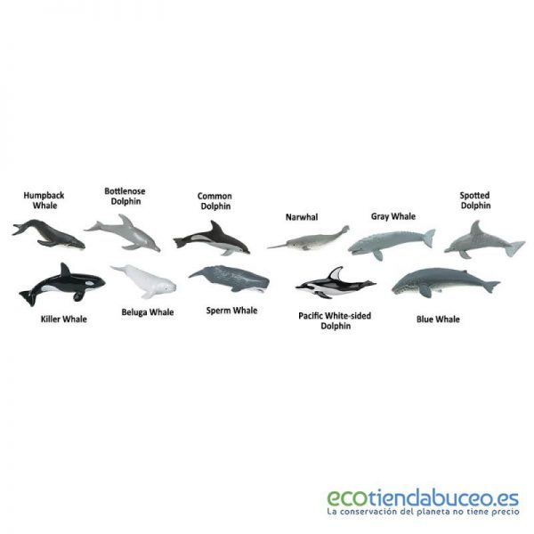 Tubo ballenas y delfines - Safari Ltd.