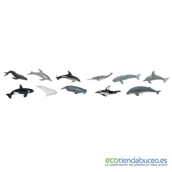 Tubo ballenas y delfines - Safari Ltd.