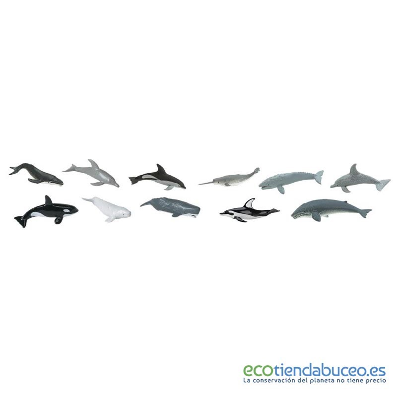 Tubo ballenas y delfines - Safari Ltd.