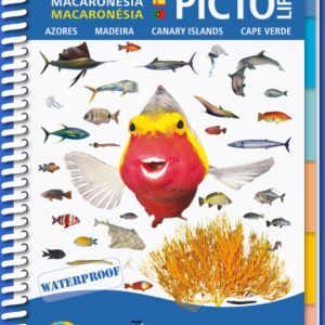 Marine Pictolife Macaronesia Islas Canarias